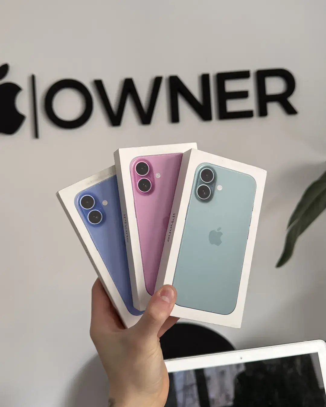 Tres iPhone 16 en caja, en distintos colores